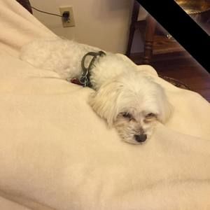 Meet your Posher, Mason